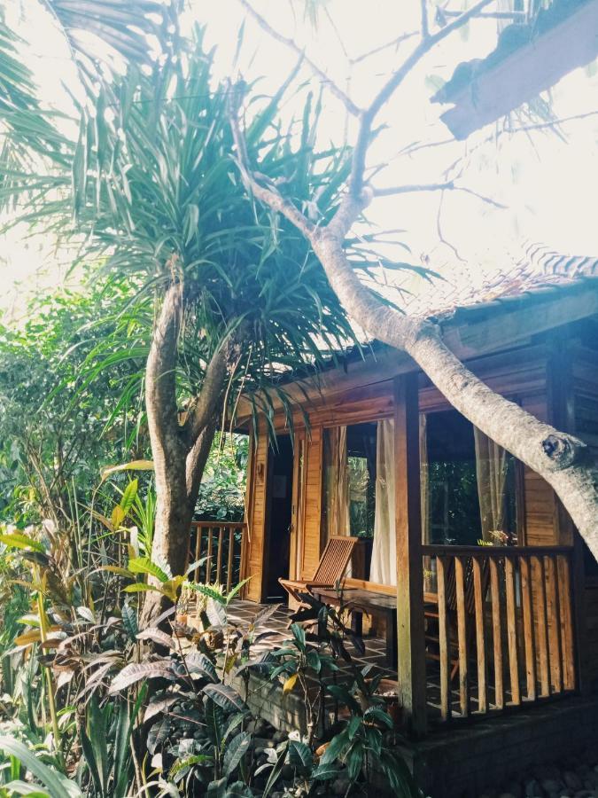 Negara  巴厘岛杰姆布拉纳家庭旅馆酒店 外观 照片